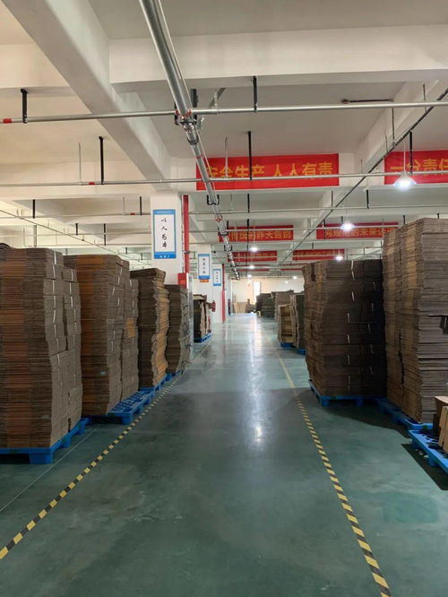 直播回顧 8年行業(yè)大咖暢聊 提升紙箱廠生產效率 的4大要點