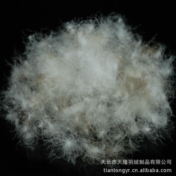 【熱銷(xiāo)】供應(yīng)推薦廠家大量銷(xiāo)售羽絨 水洗鵝毛羽絨 水洗羽絨圖片,【熱銷(xiāo)】供應(yīng)推薦廠家大量銷(xiāo)售羽絨 水洗鵝毛羽絨 水洗羽絨圖片大全,天長(zhǎng)市天隆羽絨制品-8-